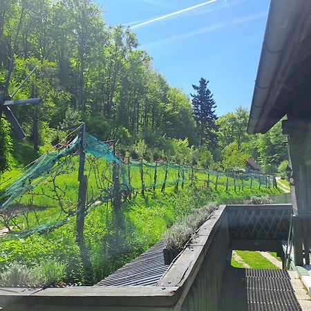 Das Altsteirische Landhaus - La Maison De Pronegg - Feriendomizil Im Biosphaerenpark Wienerwald Pressbaum Luaran gambar