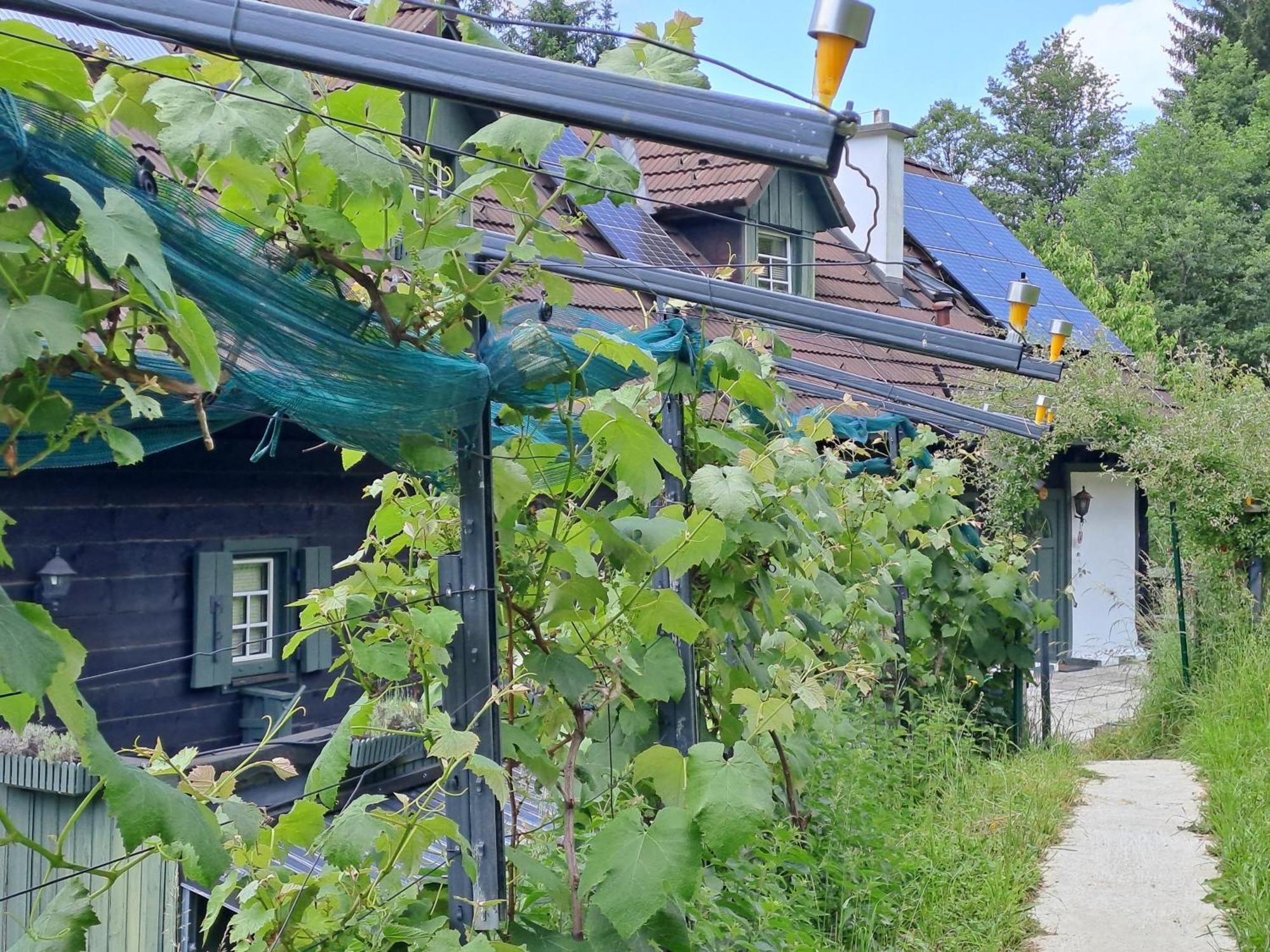 Das Altsteirische Landhaus - La Maison De Pronegg - Feriendomizil Im Biosphaerenpark Wienerwald Pressbaum Luaran gambar