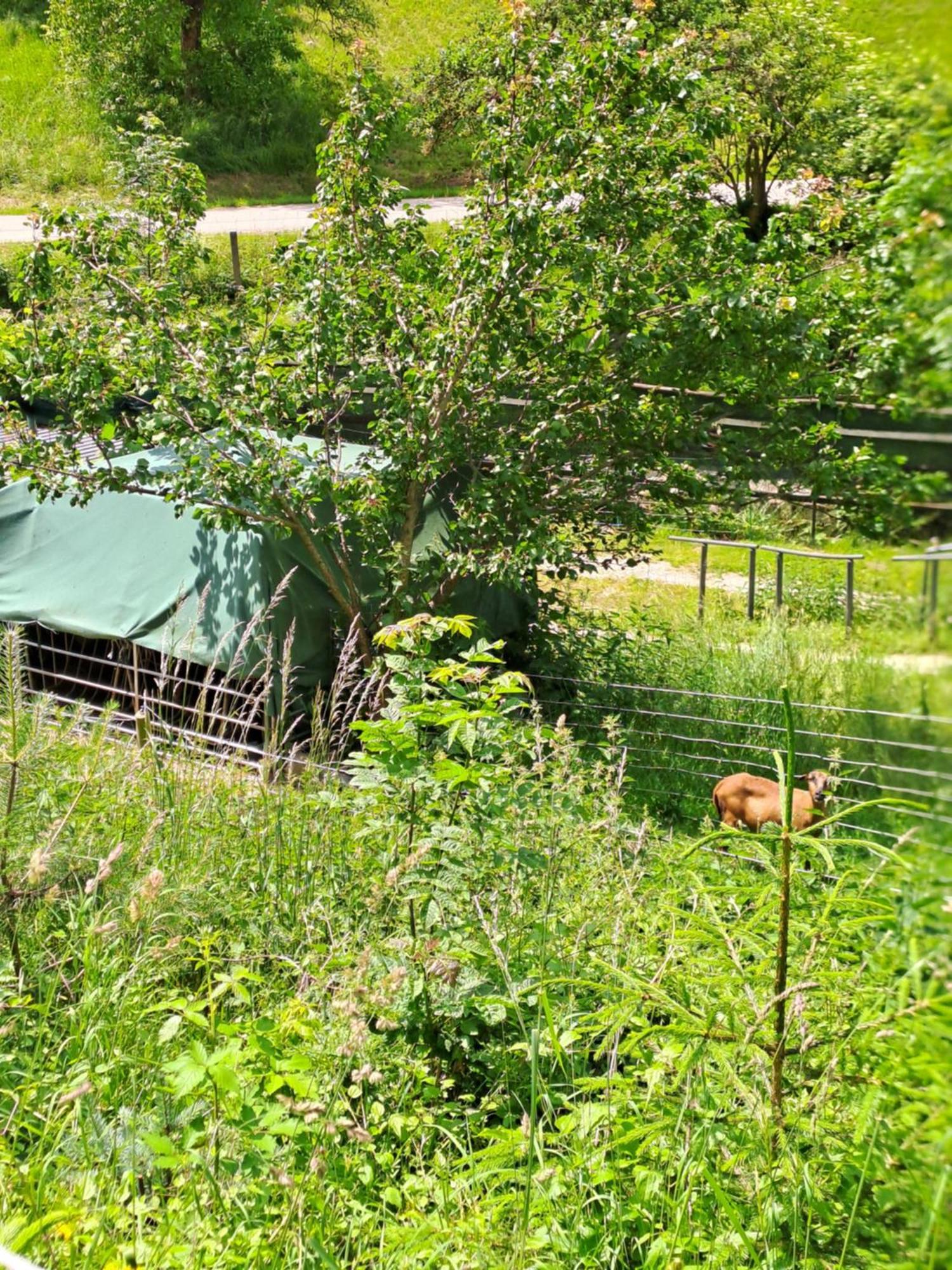 Das Altsteirische Landhaus - La Maison De Pronegg - Feriendomizil Im Biosphaerenpark Wienerwald Pressbaum Luaran gambar