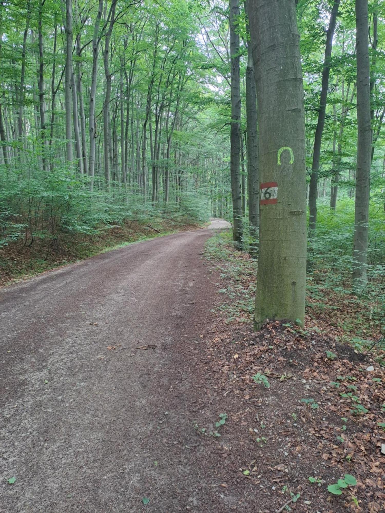 Das Altsteirische Landhaus - La Maison De Pronegg - Feriendomizil Im Biosphaerenpark Wienerwald Pressbaum Luaran gambar