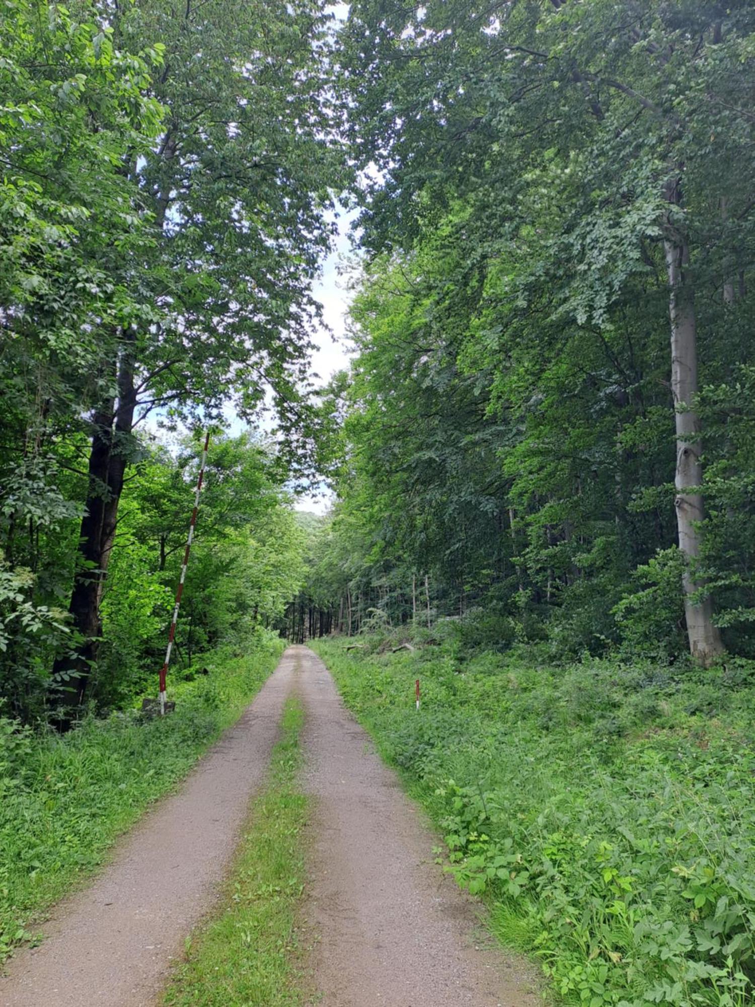 Das Altsteirische Landhaus - La Maison De Pronegg - Feriendomizil Im Biosphaerenpark Wienerwald Pressbaum Luaran gambar