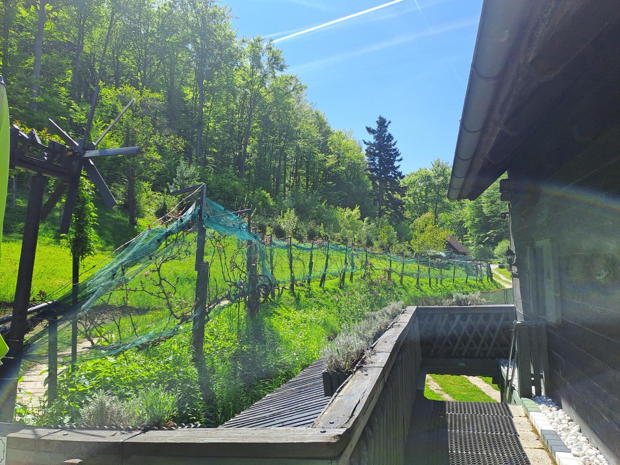 Das Altsteirische Landhaus - La Maison De Pronegg - Feriendomizil Im Biosphaerenpark Wienerwald Pressbaum Luaran gambar